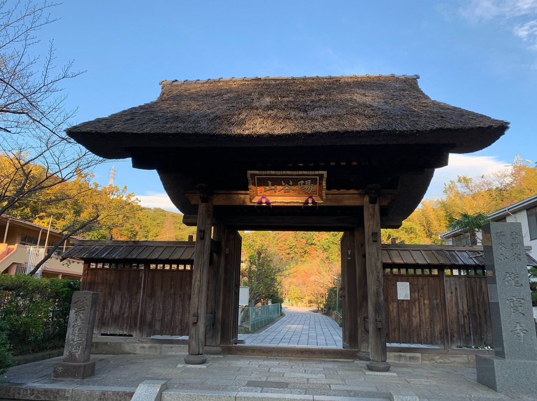 Ryuhoji Temple景点图片