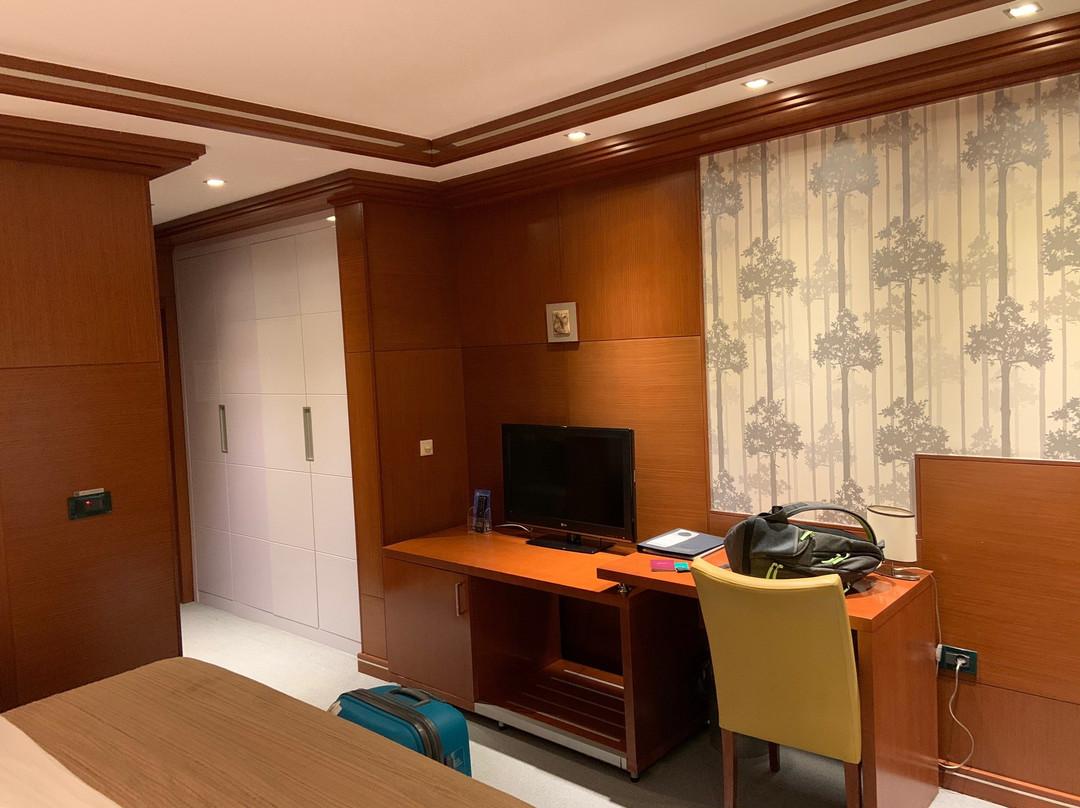 Aleksandar Novi Sad主图