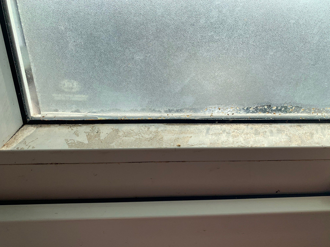 Anh Dao Mekong Hotel主图