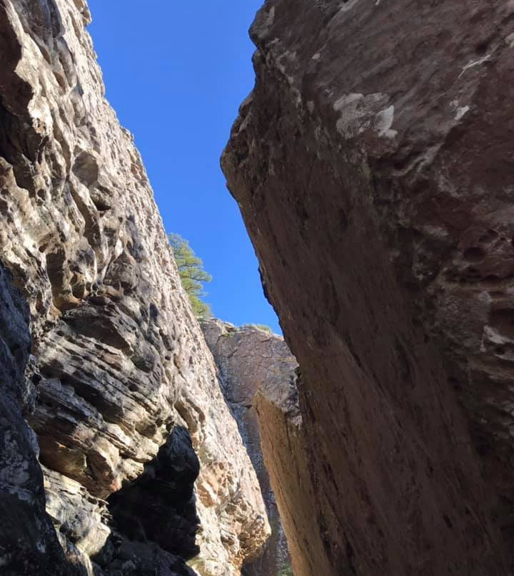 37 North Expeditions-本顿维尔必去景点