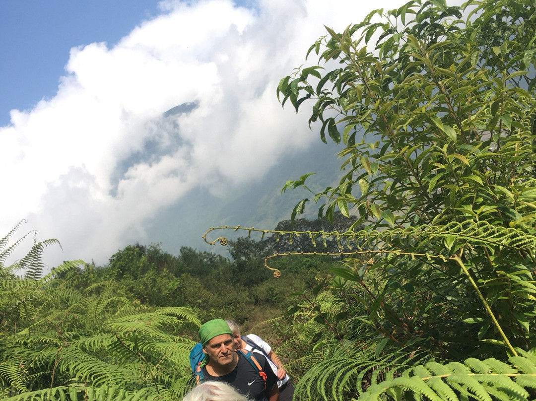 Cho Cho's Trekking & Home Stay主图