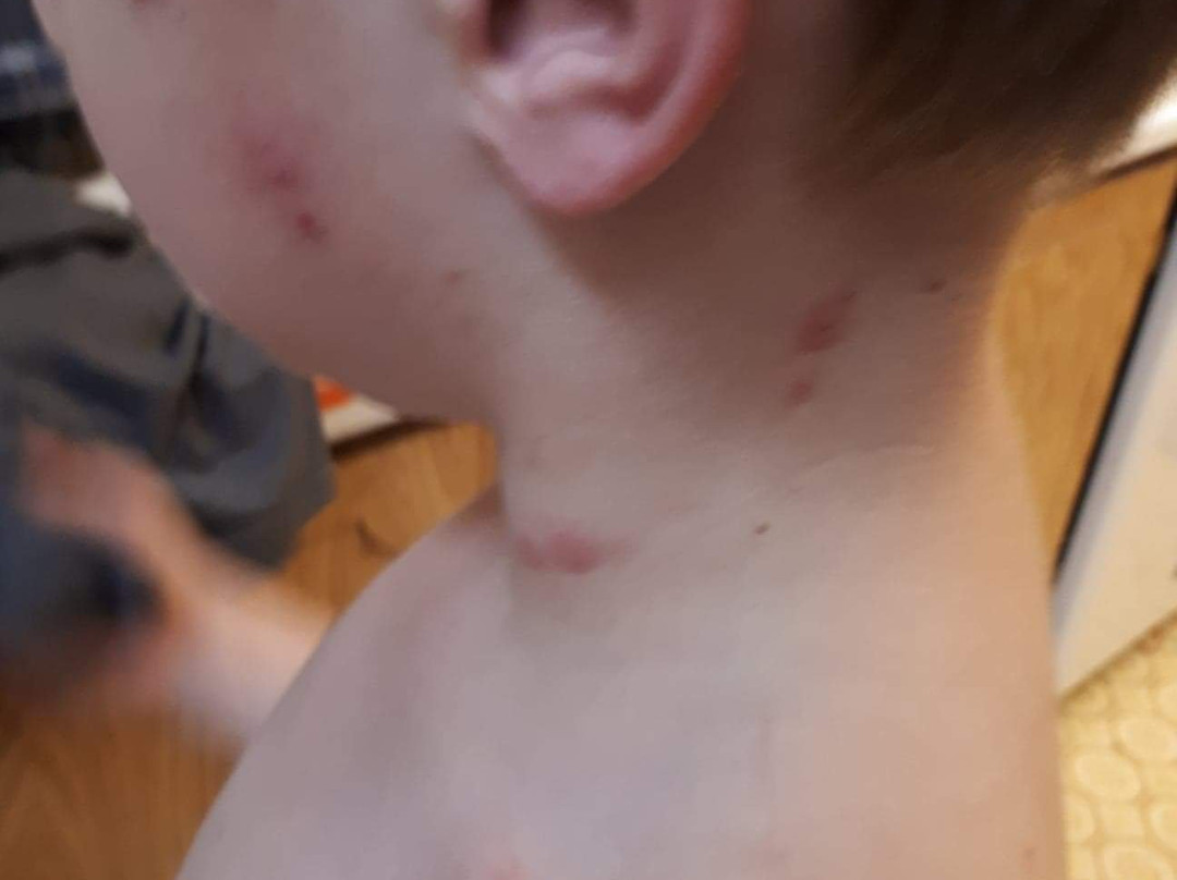 Comfort Inn & Suites Langley主图