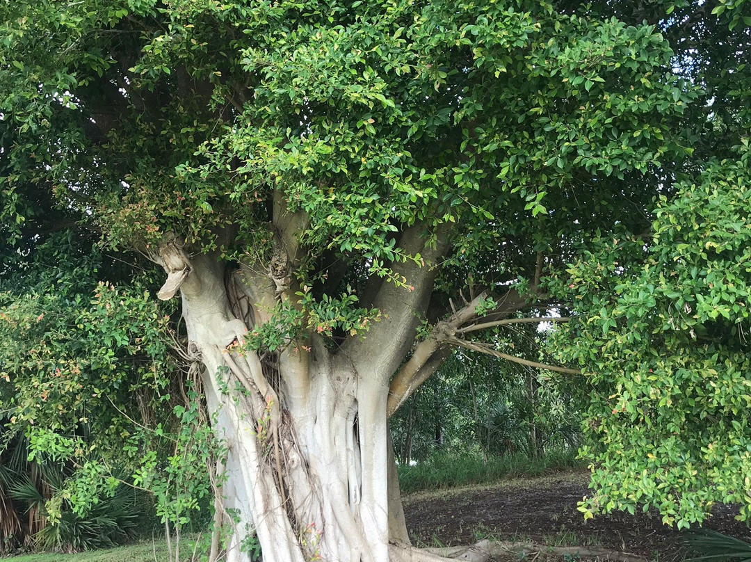 Jensen Beach Golf Club-Jensen Beach必去景点