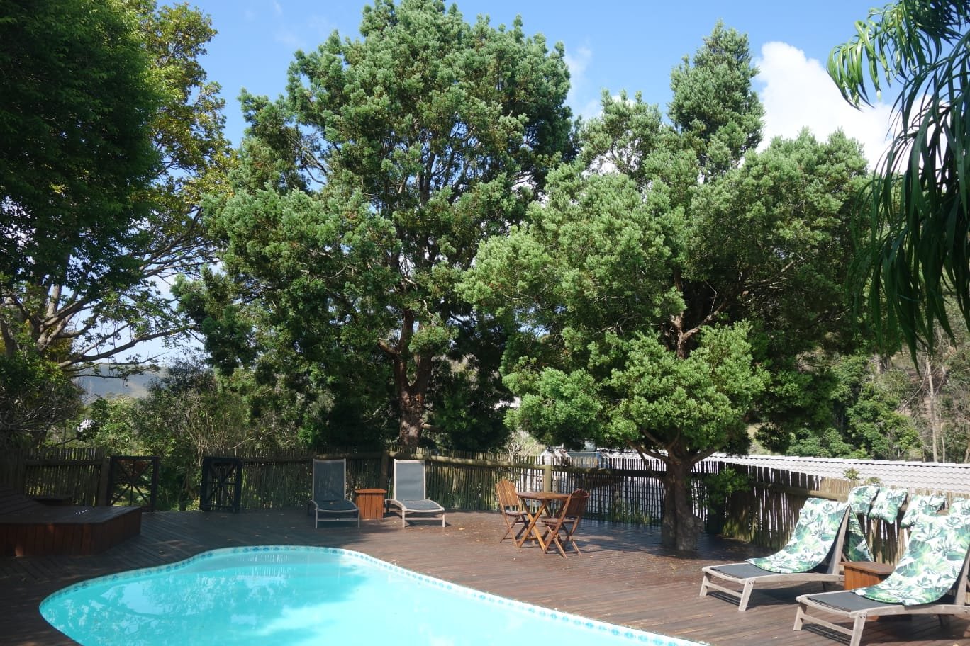 Badger's Lodge-泳池