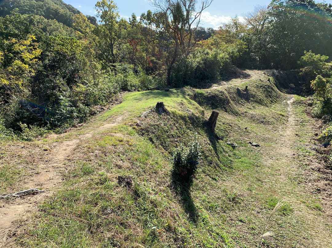 Nirayama Castle Ruins-伊豆之国市必去景点