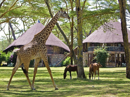 Gracepatt Safaris-Karen必去景点