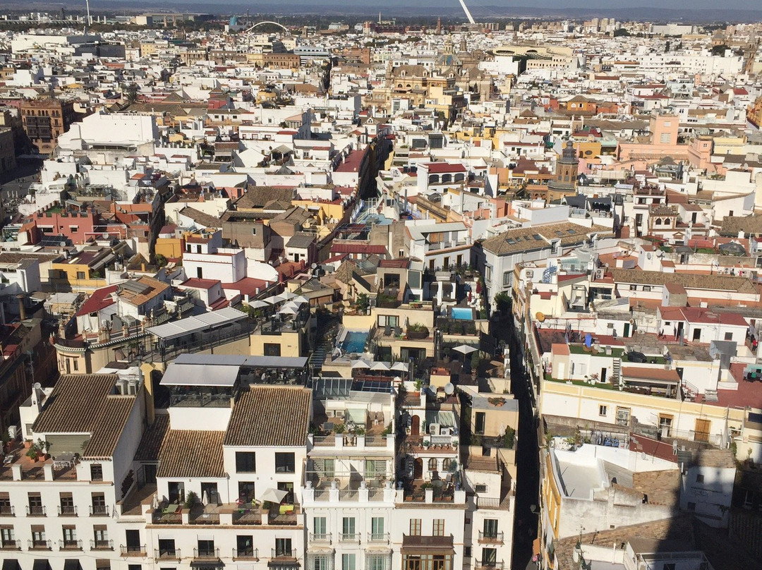 Giralda Mora-塞维利亚必去景点