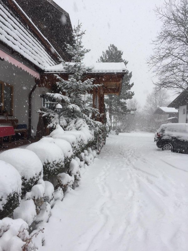 Pension Mayerhofer-portrait