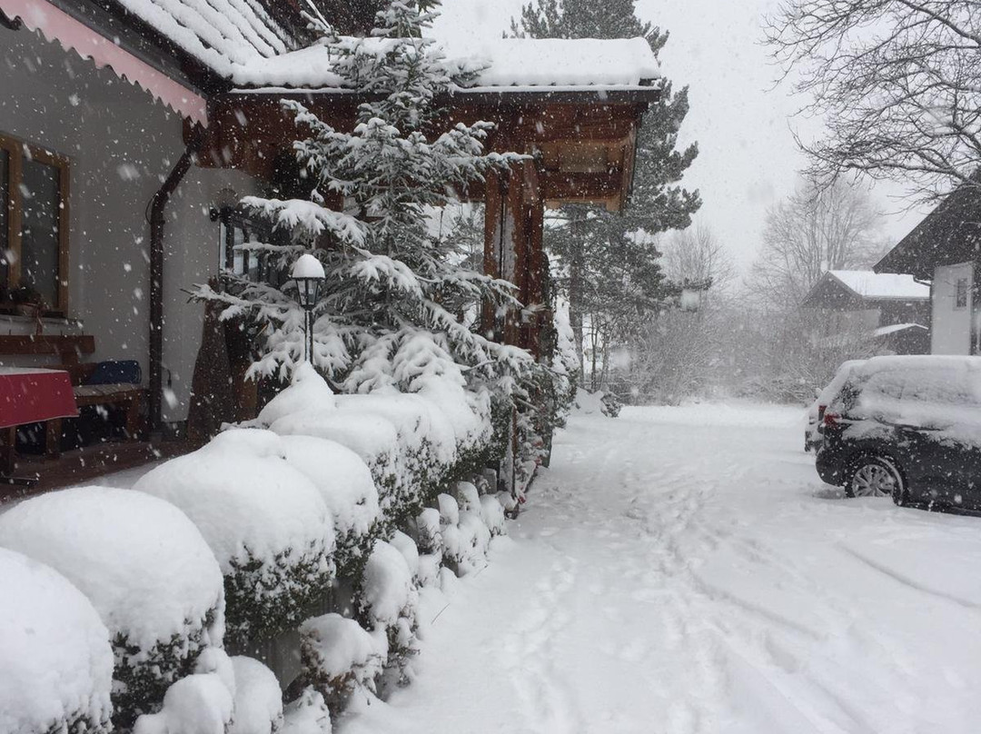 Pension Mayerhofer主图