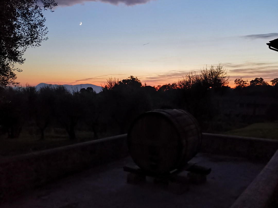 Azienda Agricola Colle di Bordocheo景点图片