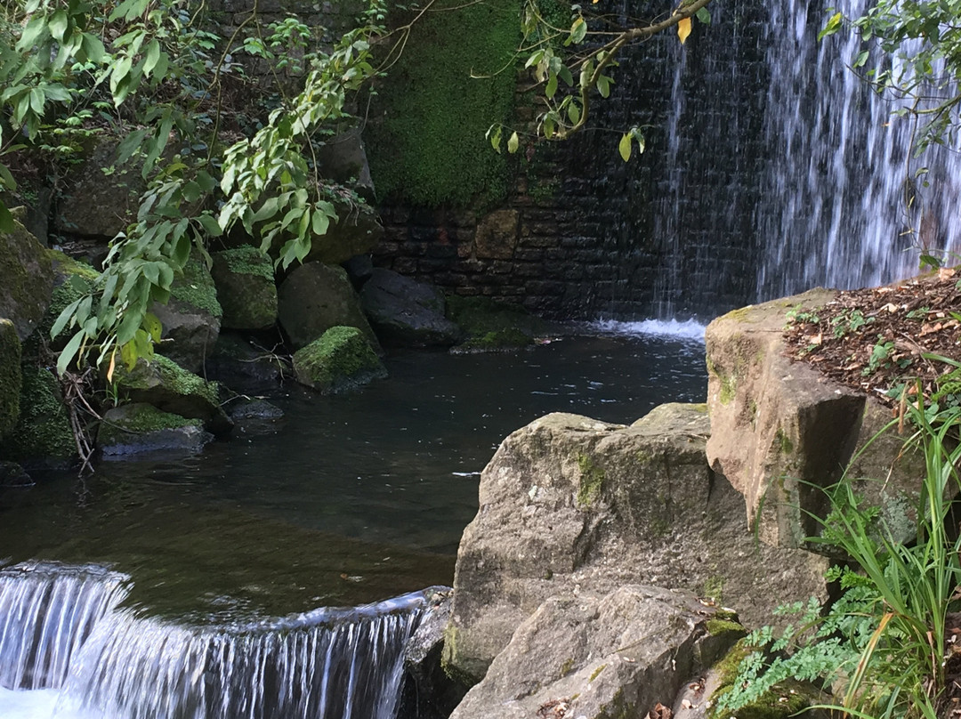 Jardin du Conservatoire Botanique National de Brest景点图片