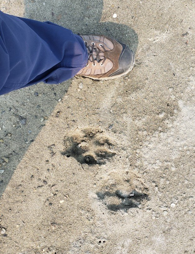 Annie Mae Lodge主图