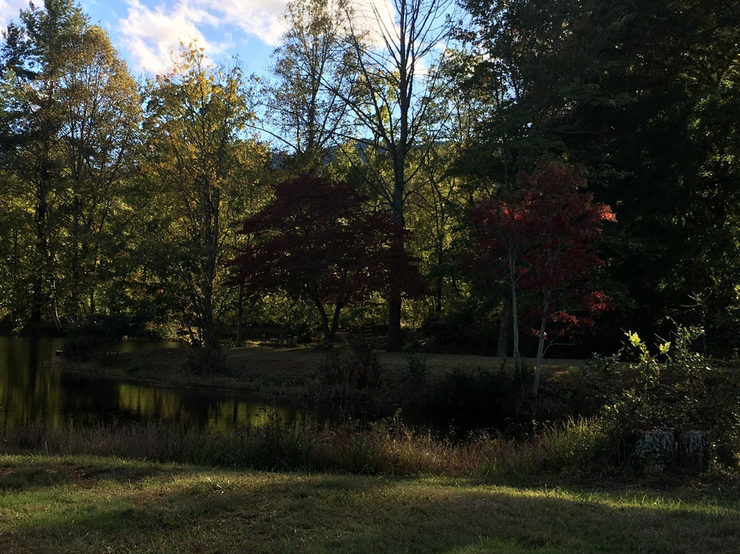 Pisgah View Ranch主图