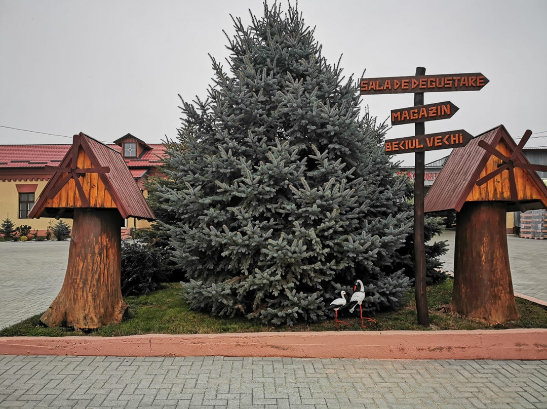 Chateau Vinuri de Comrat-Comrat必去景点