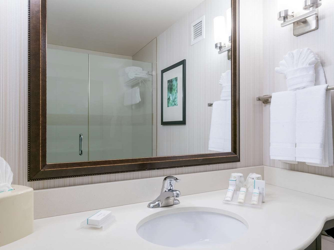 Hilton Garden Inn Valley Forge/oaks主图