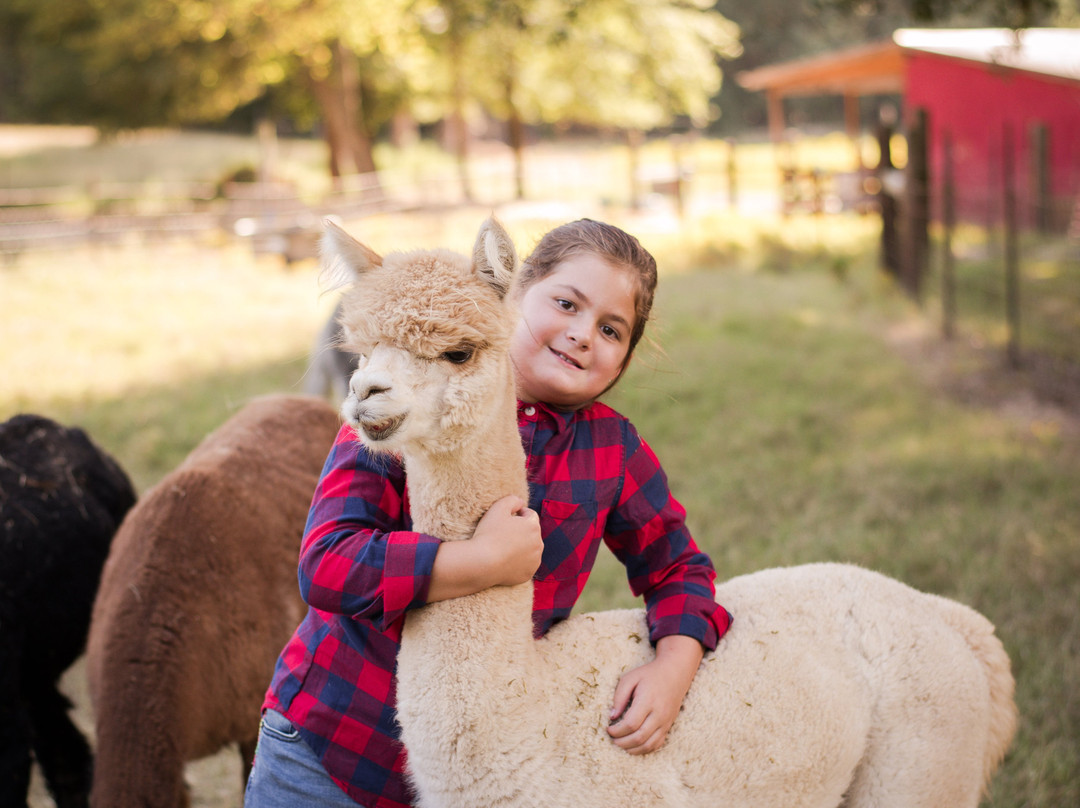 Carolina Pride Pastures-Pomaria必去景点