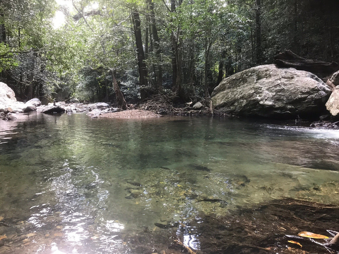 Stoney Creek Trail景点图片