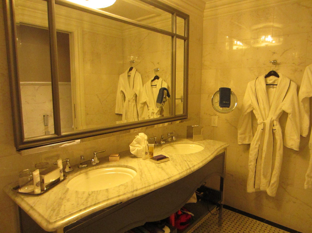 The Adelphi Hotel主图