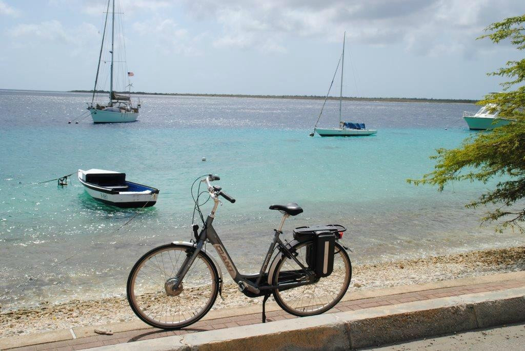 Bike Rental Delivery景点图片