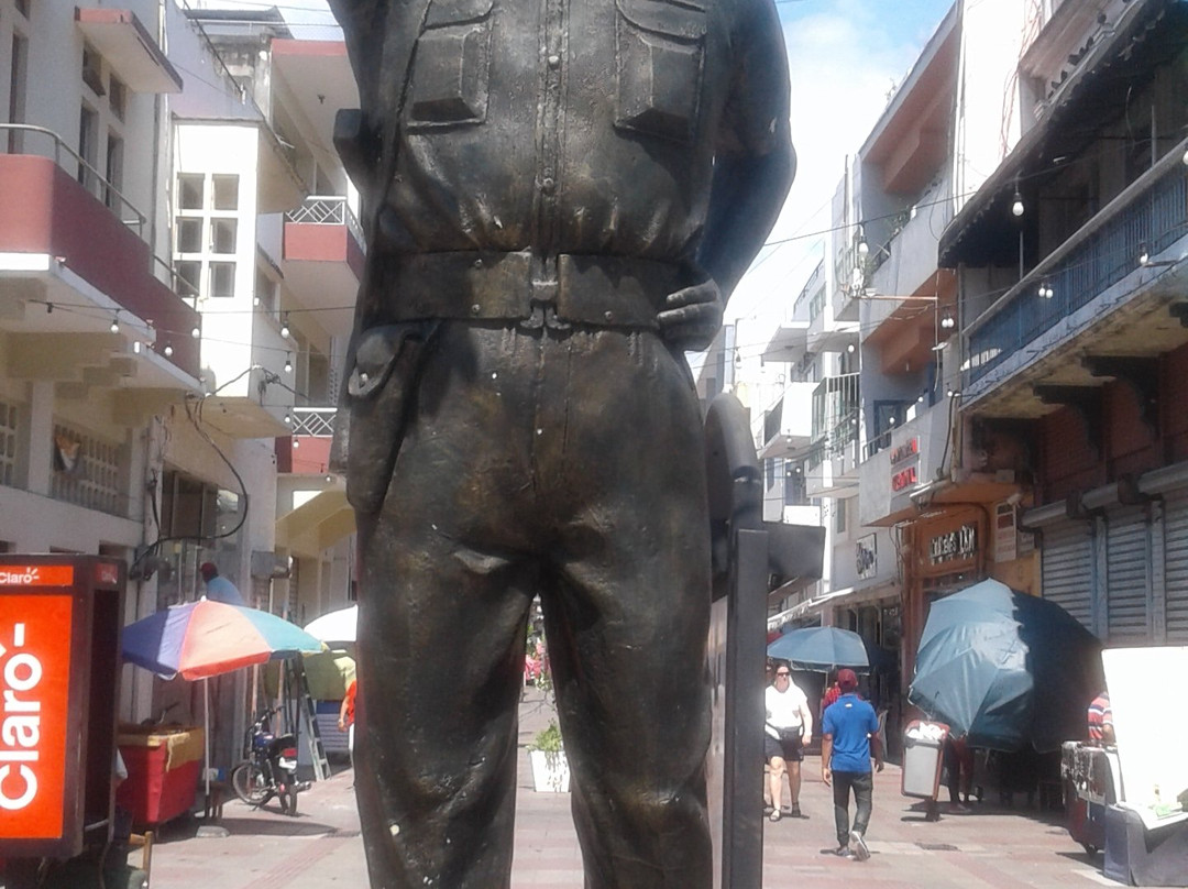 Statue Coronel Francisco Alberto Caamano景点图片