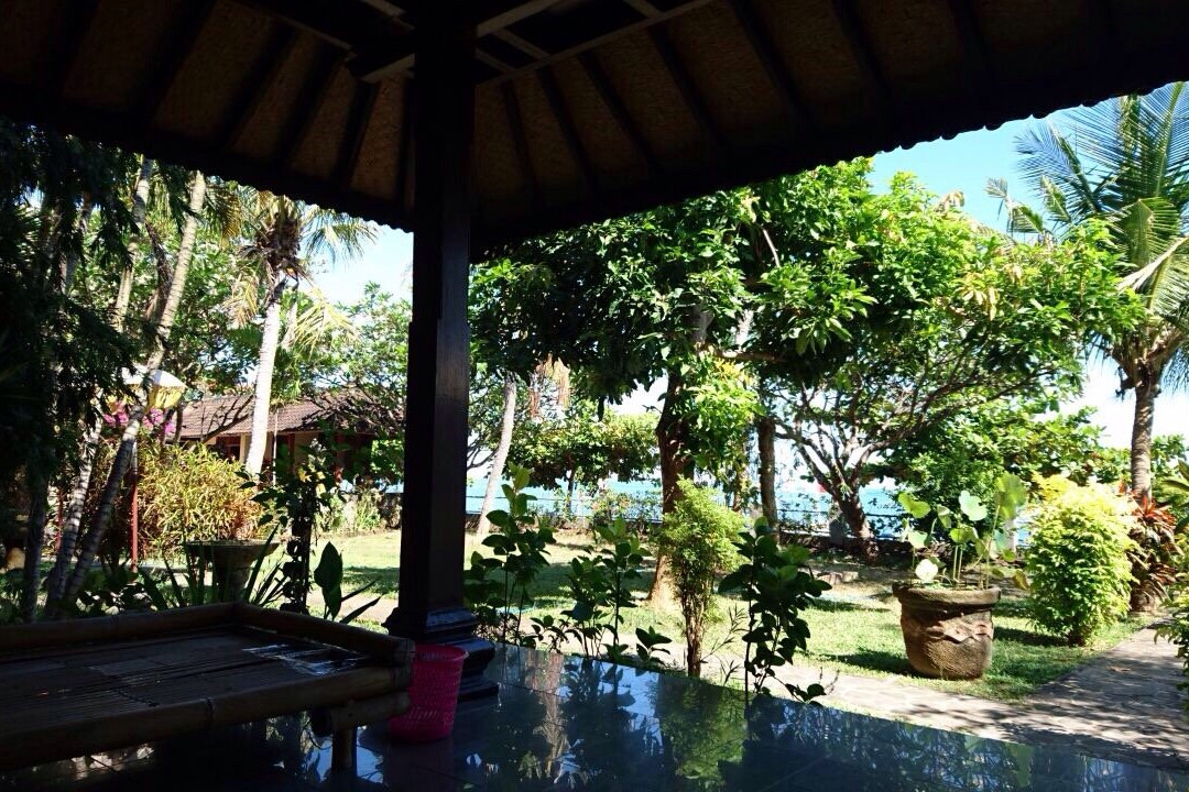 Lupa Lupa Lovina Cottages