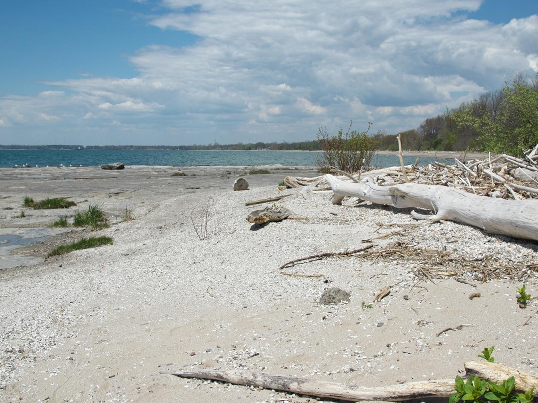 Haldimand旅游景点-Rock Point Provincial Park