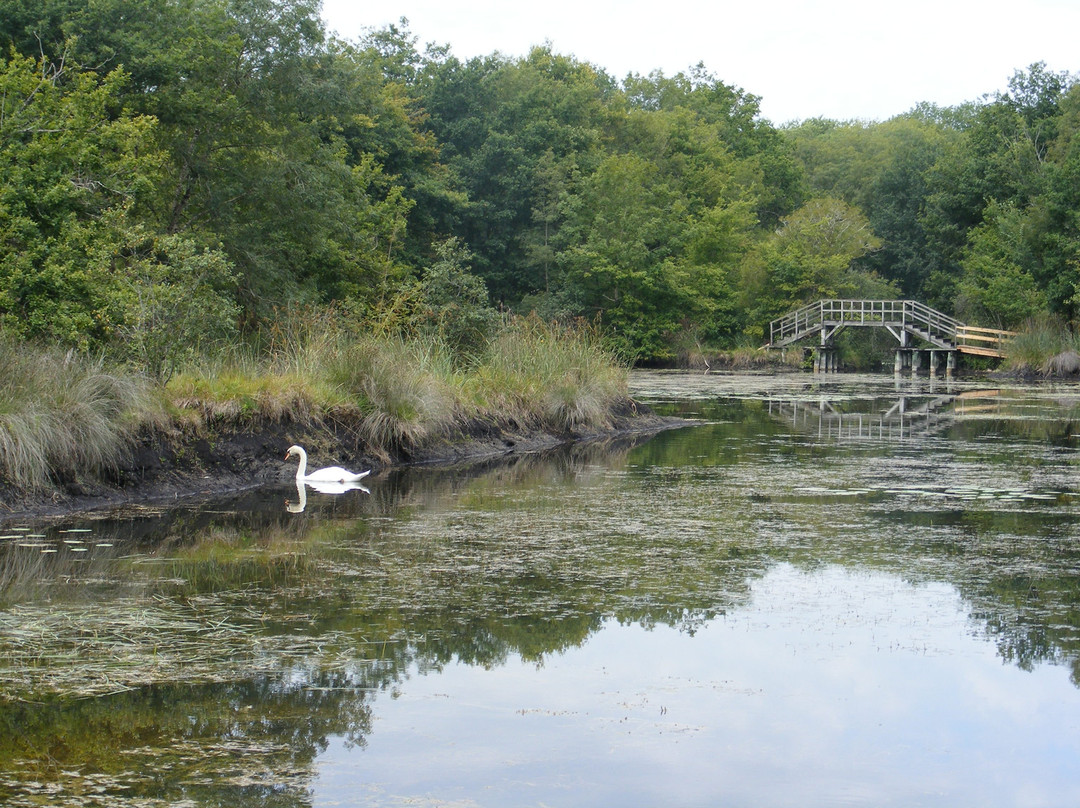 Site Naturel des Tourbieres-Vendoire必去景点