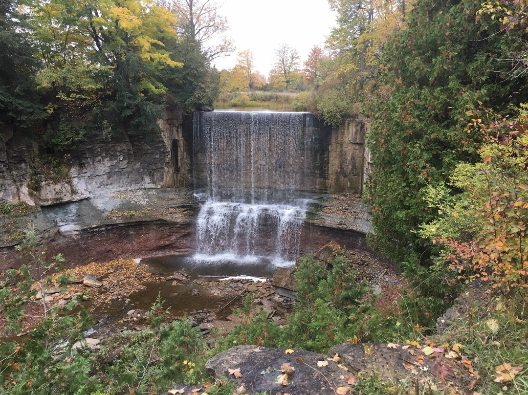 Indian Falls Conservation Area景点图片