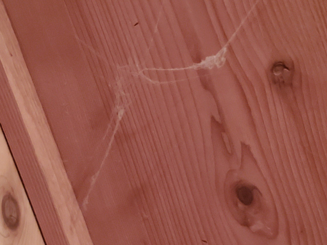 Engadine Inn And Cabins主图