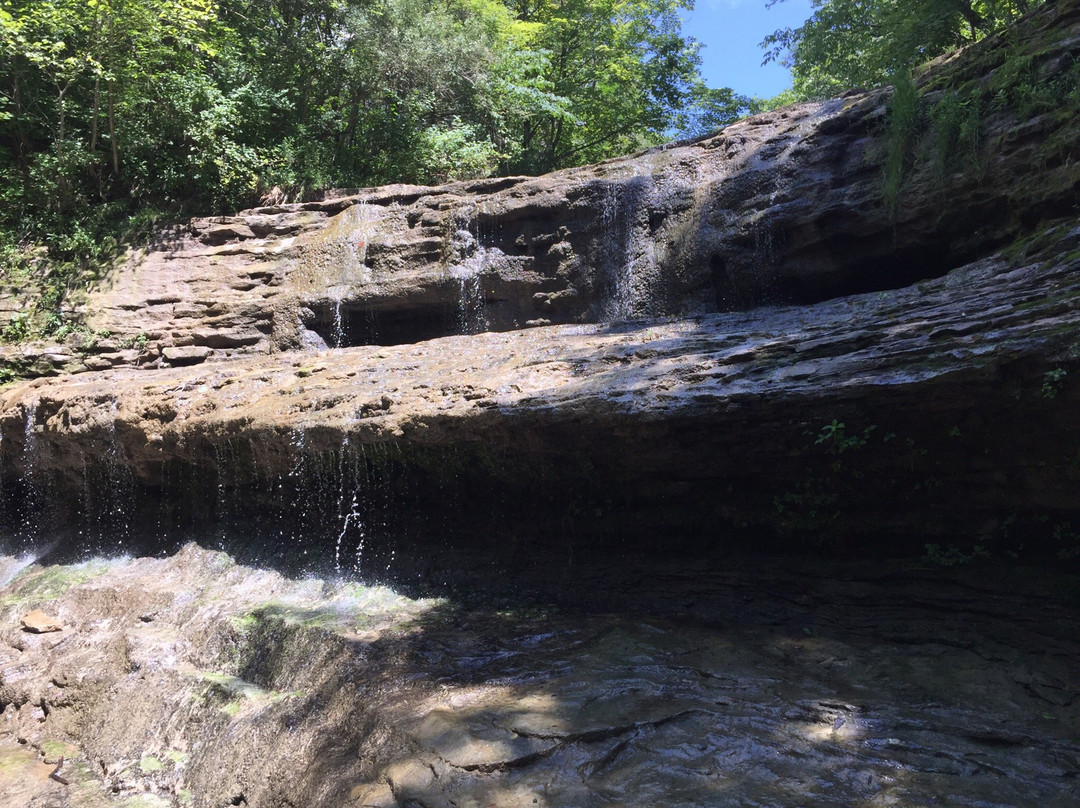 Fallsville Wildlife Area-New Vienna必去景点