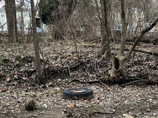 Buttercup Valley Preserve-辛辛那提必去景点