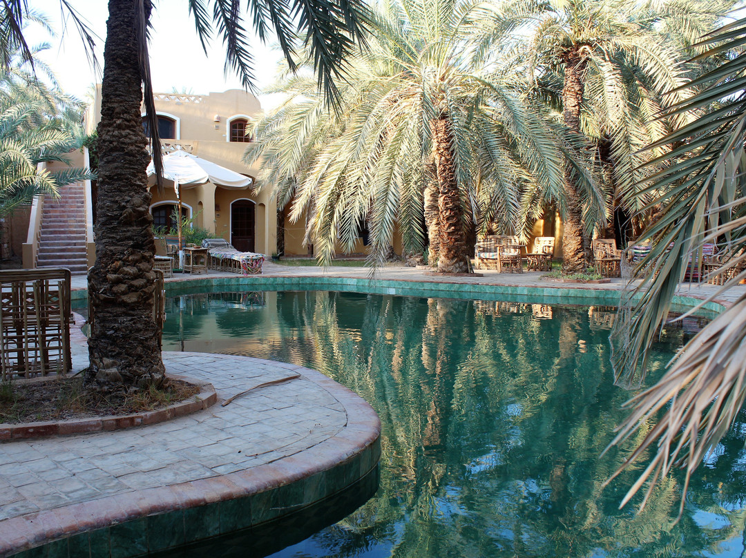 Siwa Safari Gardens Hotel主图