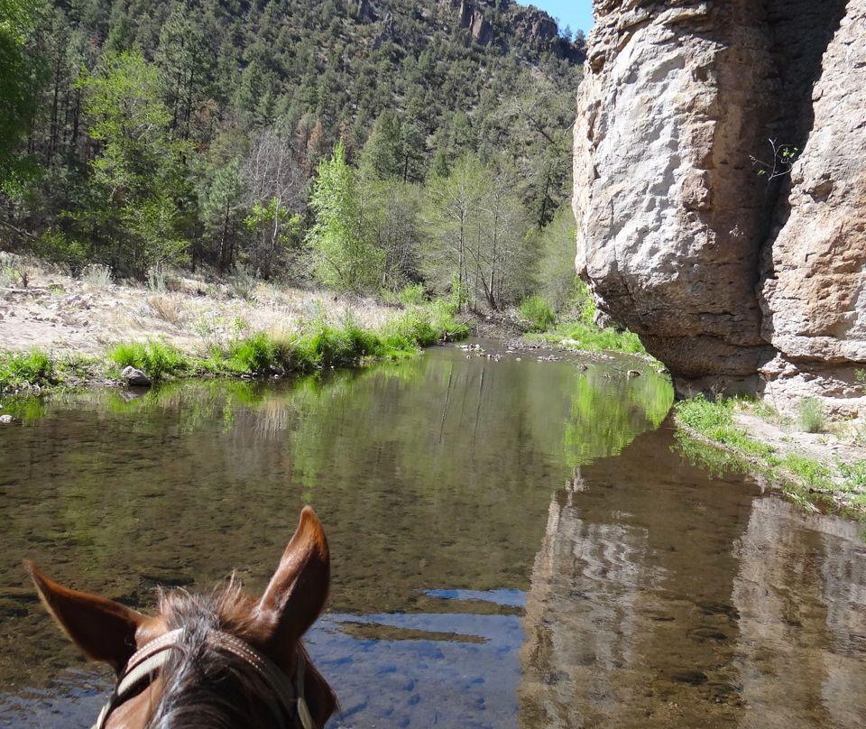 WolfHorse Outfitters Day Tours-Silver City必去景点