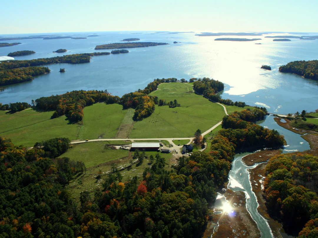 Wolfe's Neck Farm景点图片