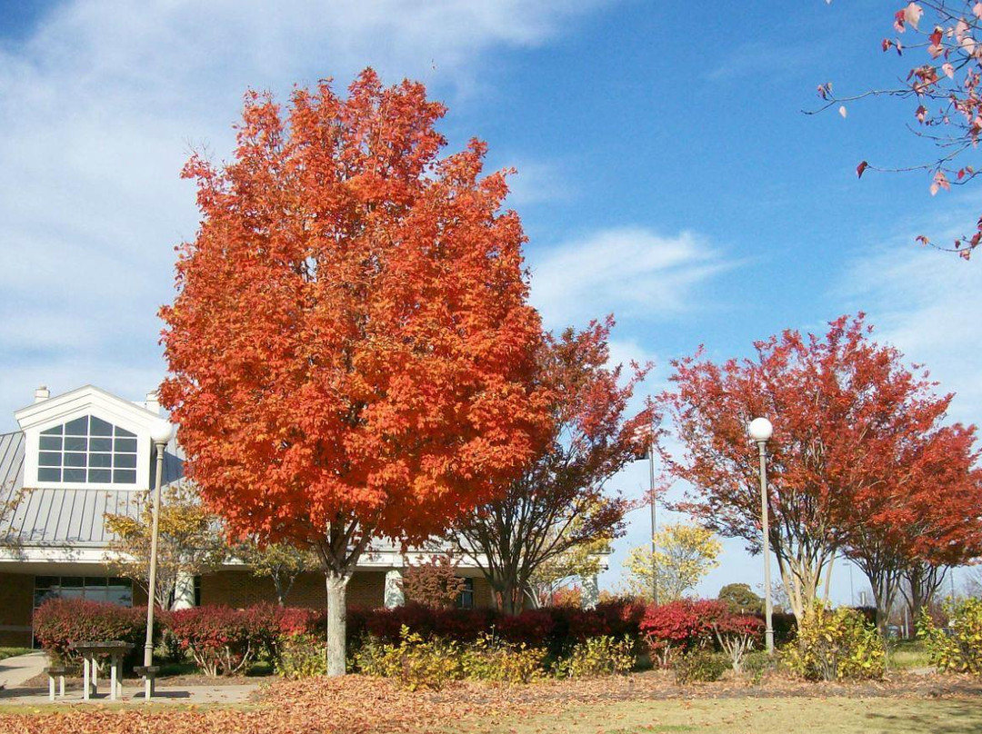 Georgia Visitor Information Center - Lavonia