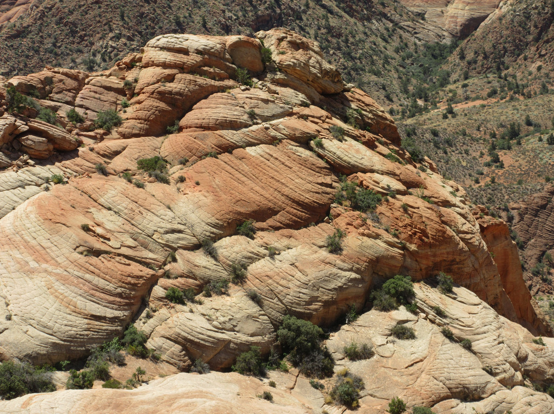 Yant Flat-Leeds必去景点