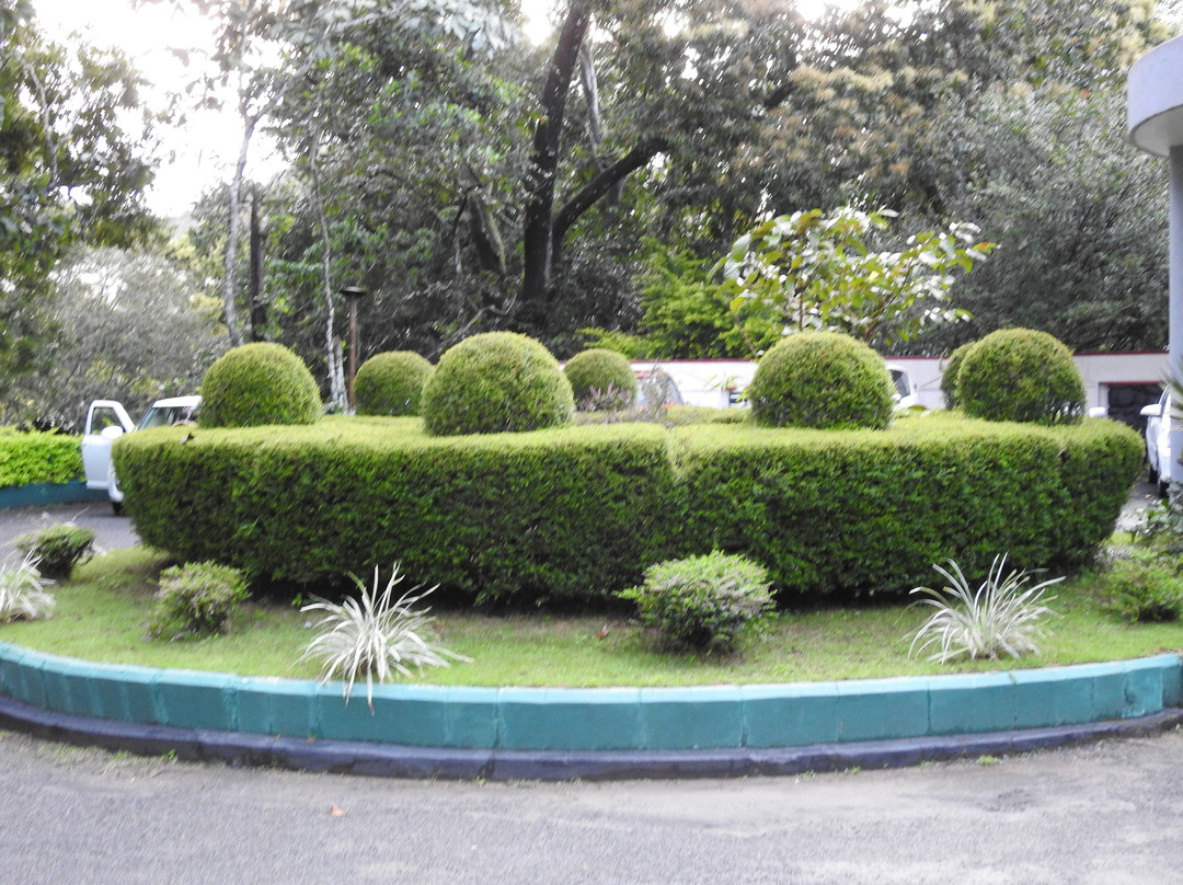 KTDC 阿兰亚尼瓦斯度假村主图