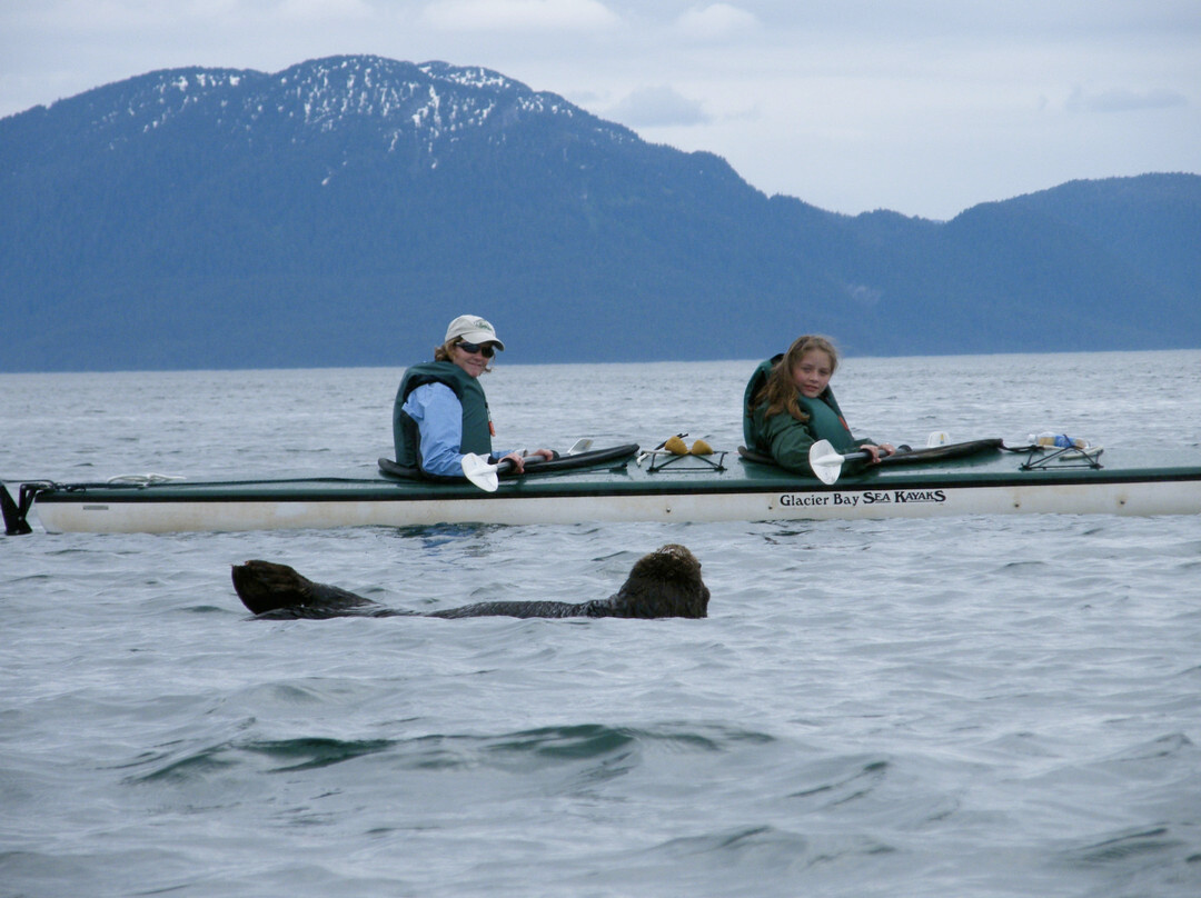 Glacier Bay Sea Kayaks