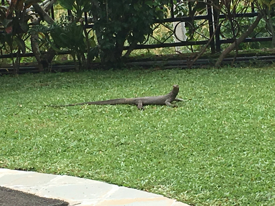 亚洲珠宝精品酒店主图