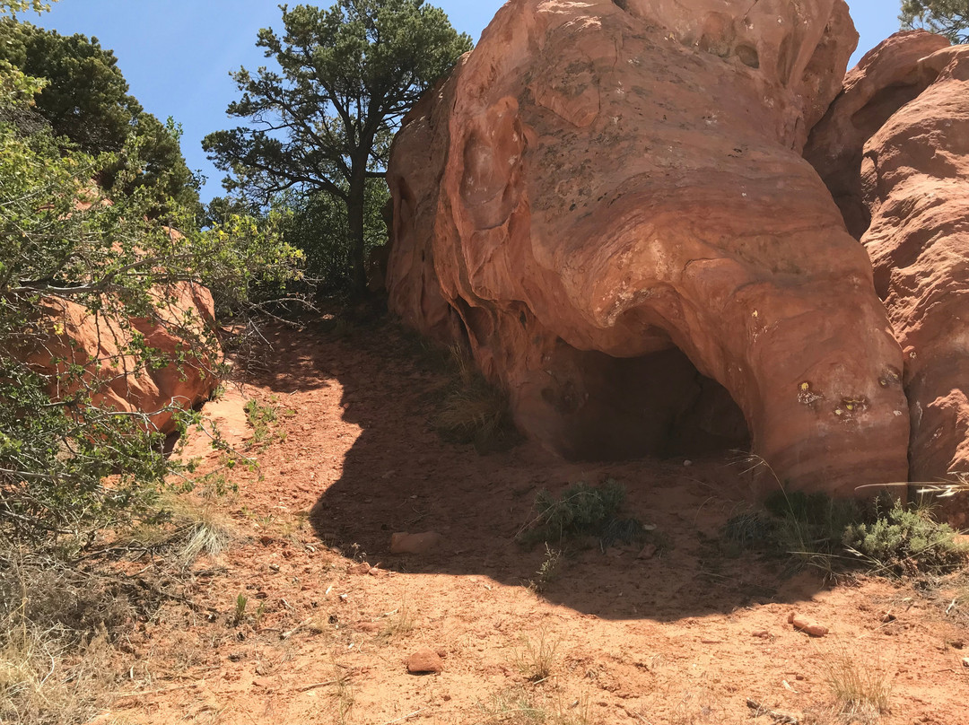 Thunderbird Gardens Trailhead景点图片