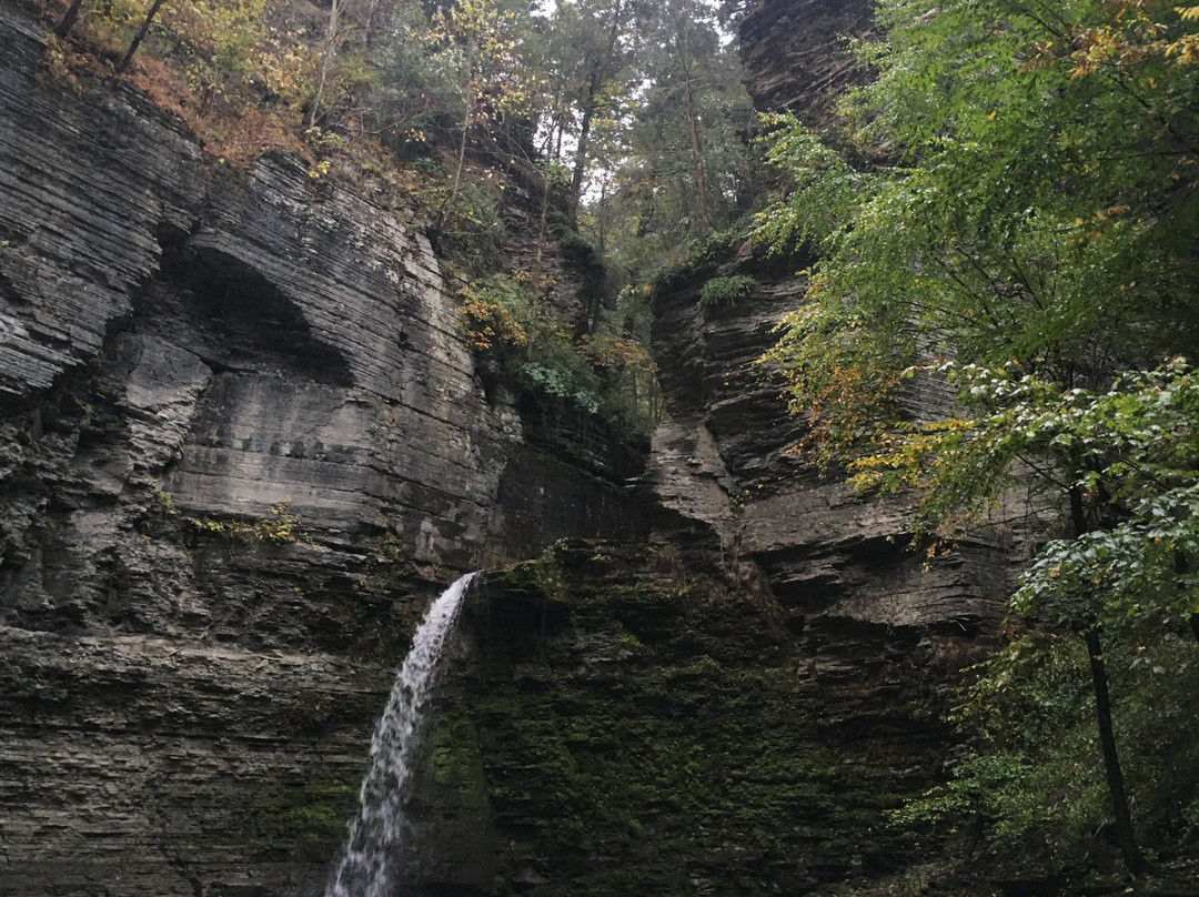 Eagle's Cliff Falls景点图片