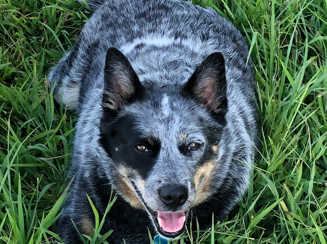 West Boggs Park-Loogootee必去景点