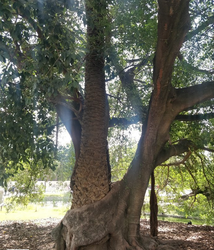 Eco Parque-布宜诺斯艾利斯必去景点