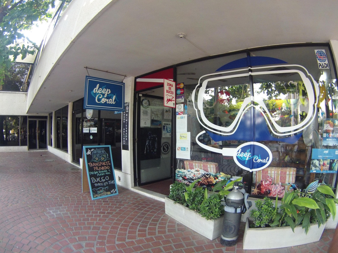 Deep Coral-圣玛尔塔必去景点