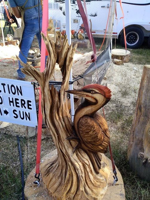 State Fair Of Virginia-多斯韦尔必去景点