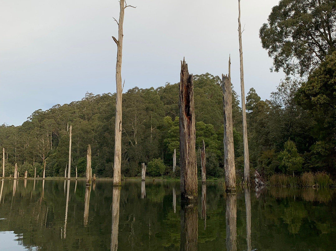 Lake Elizabeth-Forrest必去景点