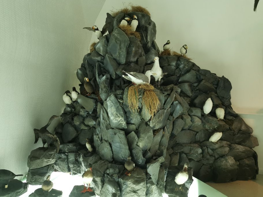 Chukotka Okrug Museum of Local Lore-Anadyr必去景点
