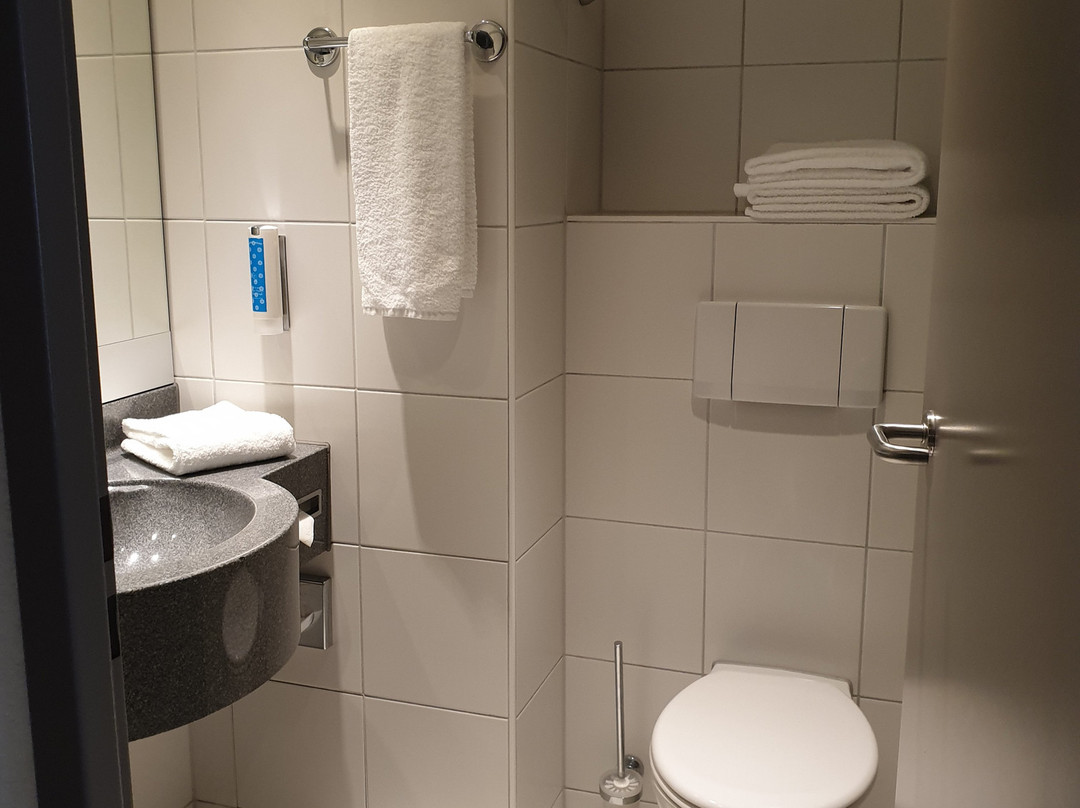 温德姆维也纳之家快捷酒店特里尔主图