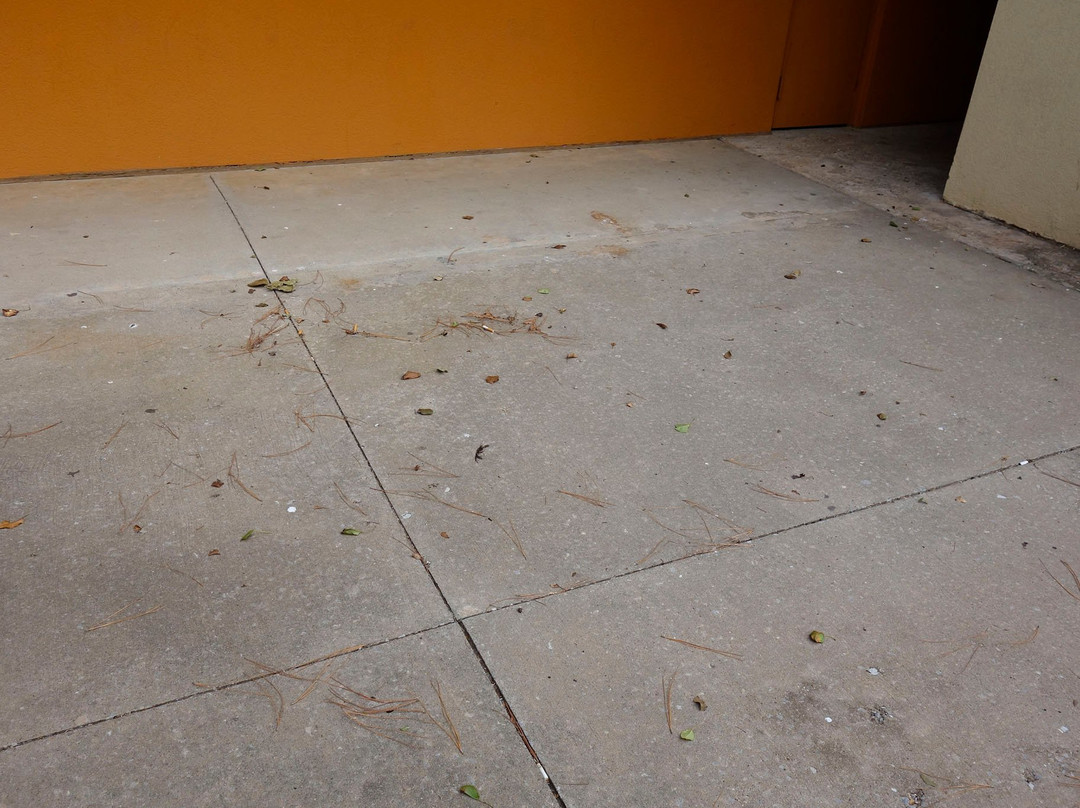 Days Inn by Wyndham Altus主图