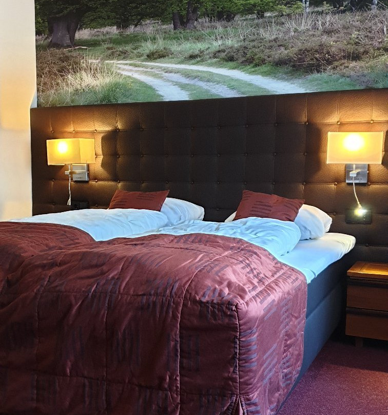 罕布什尔酒店主图